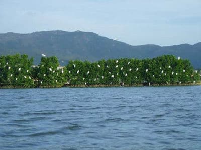 Quy Nhon - An Nhon Village - Quang Trung Museum